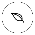 绿色环保